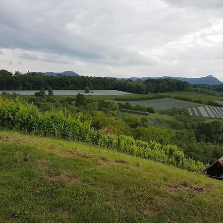 Ferienwohnung Burgblick Im Neuffener Tal Mit Sauna Und Wallbox Frickenhausen  Luaran gambar