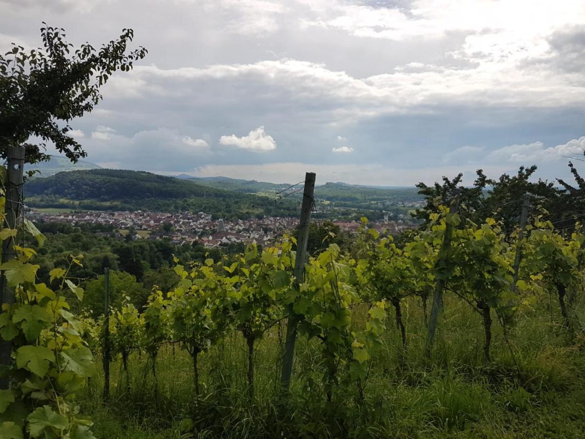 Ferienwohnung Burgblick Im Neuffener Tal Mit Sauna Und Wallbox Frickenhausen  Luaran gambar